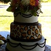 Gallery: Weddings